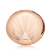 AIRBRUSH BRONZER FAIR