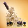 STAR CONFIDENCE 100 ML FRAGRANCE